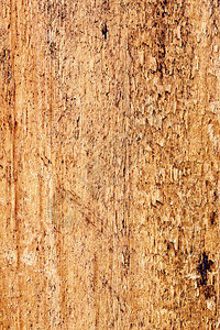 复古的温暖棕色松木纹理特写背景松木纹理特写工黄色的图片
