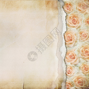 邋遢折叠边缘带有玫瑰的旧刻纸背景纹理图片