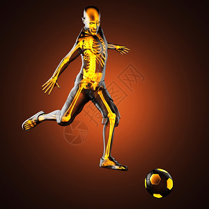 场地身体以3D制成的足球运动员科学图片