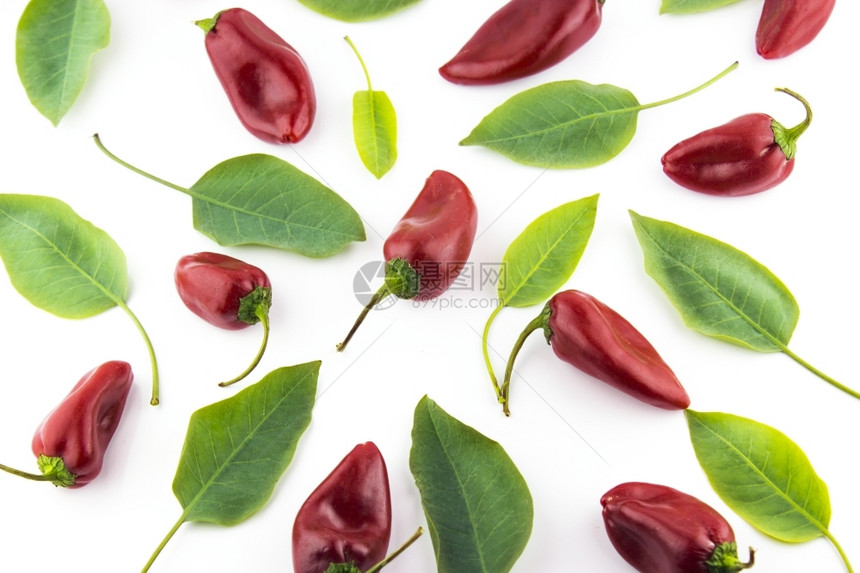 树叶墨西哥人热辣椒红与叶子在白色背景图片