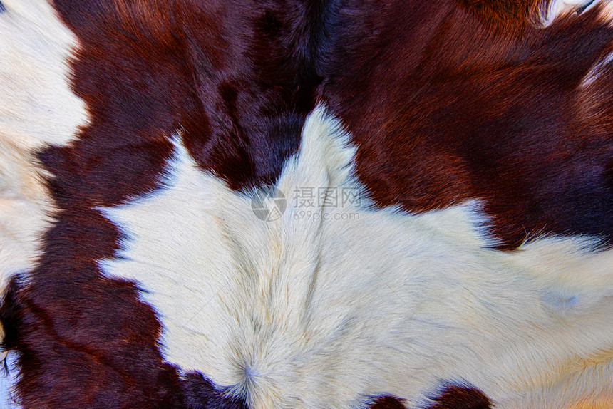 咖喱兽抽象的棕色牛皮外衣纹理黑白和棕色斑点图片
