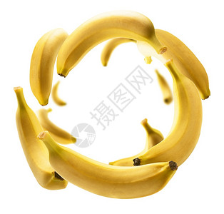 一串香蕉自然戒指营养黄色香蕉漂浮在白背景上黄香蕉漂浮在白背景上设计图片