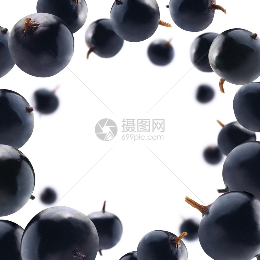 目的oopicapi甜点黑醋栗浆果漂浮在白色背景上黑醋栗浆果漂浮在白色背景上图片