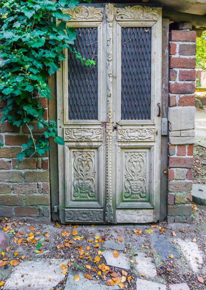 颜色结石砖块美丽的古董巴洛克家门入口墙上有长春藤叶图片