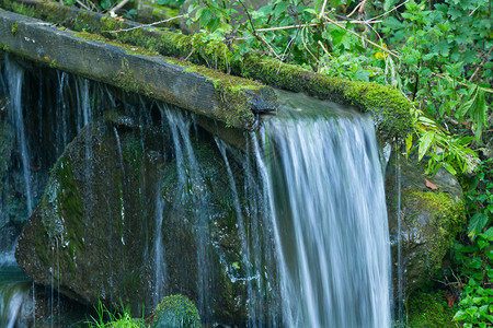 克里沃里夫尼亚木制的环境高清图片
