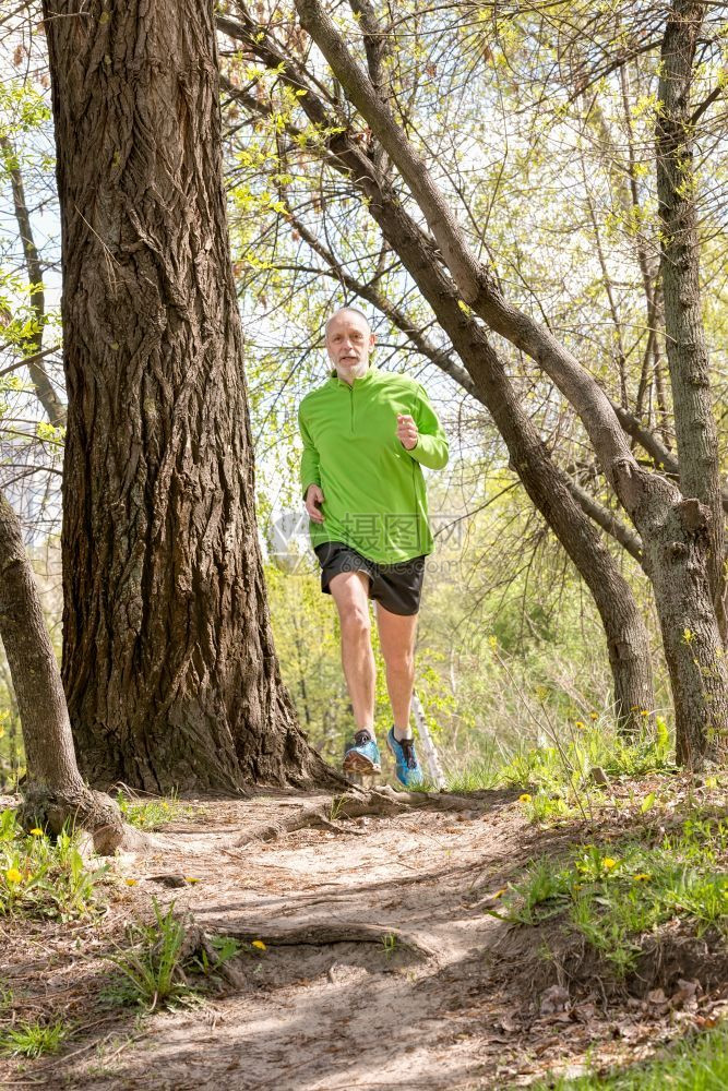 慢跑者一个身着黑绿色衣服的老人正在森林里跑来去在温暖的春天跑步快乐图片