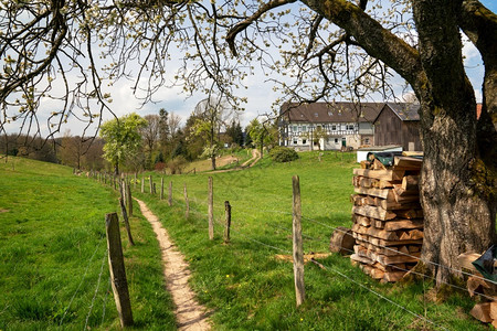 贝尔吉舍尔农村威斯特伐利亚高清图片