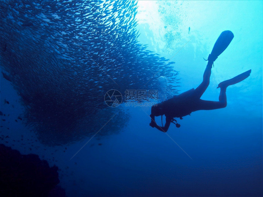 海底光线下鱼的学校水族馆幻想图片