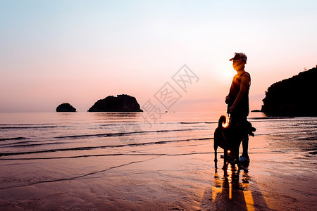宠物日出时沙滩上的高级女子和狗自然夏天图片