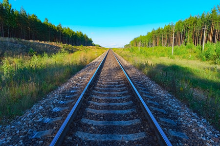 场景金属铁道两侧绿林边的铁路轨迹视图图片
