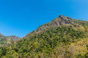 棕色的草泰国清迈DoiLuangChongDao山自然公园景观娱乐图片