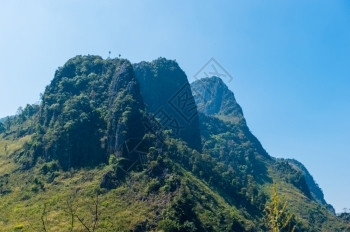 泰国清迈DoiLuangChongDao山自然公园景观美丽的草蒋图片