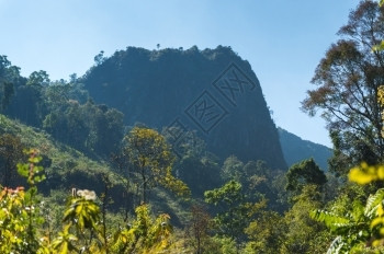 自由泰国清迈DoiLuangChongDao山自然公园景观冒险黄色的图片