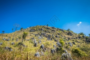 銮DoiLuangChiangDao山风景清迈泰国美丽的野营图片