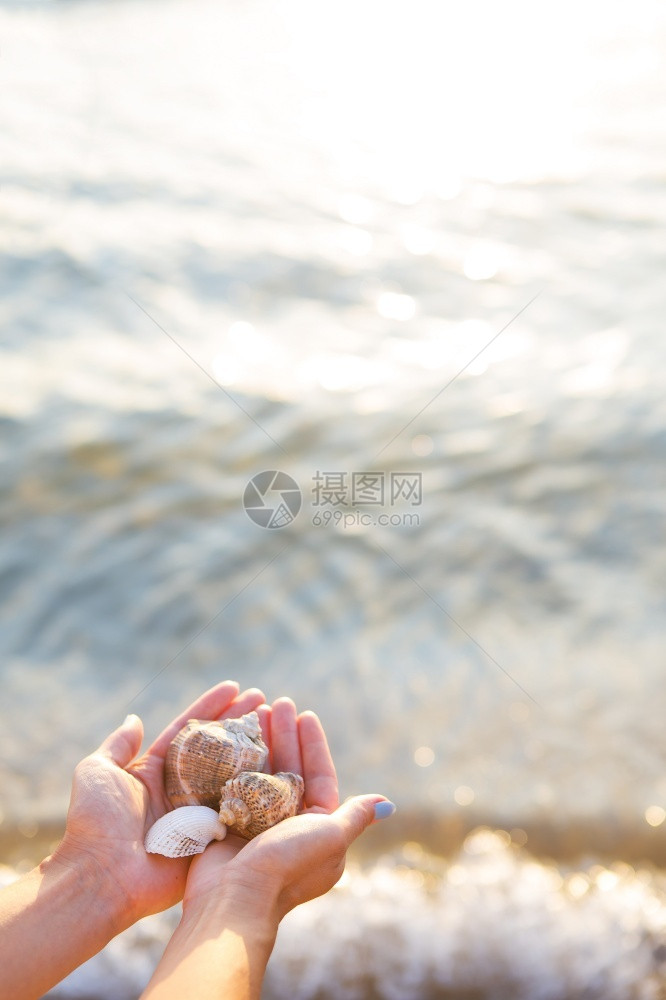 海洋放松热带大背景中手拿不同贝壳的女孩大海背景中手拿不同贝壳的女孩图片