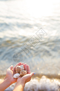 海洋放松热带大背景中手拿不同贝壳的女孩大海背景中手拿不同贝壳的女孩图片