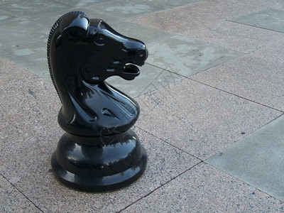 闲暇雅各布斯站在户外操场上的黑象棋马竞赛图片