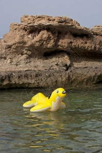 海洋中充气的黄狗水肺快乐的脚蹼图片