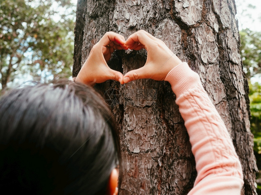 生长成型花园女在一棵大树上形成心脏状的女双手保护和爱自然概念图片