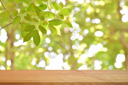 太阳用于产品显示或补装的清绿色自然背景上的空木桌顶柜台为了图片