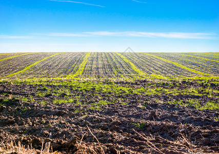 犁土壤污垢农村播种田地和蓝天空种植田地和蓝天空图片