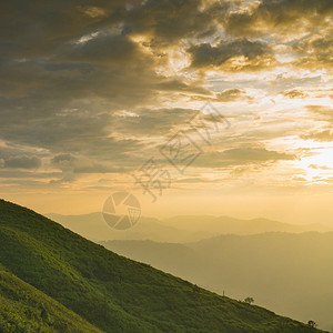 风景清晨山丘和森林日出黎明温暖的夏日空气多雾路段图片