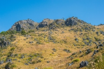 自然植物DoiLuangChiangDao山风景清迈泰国木头图片