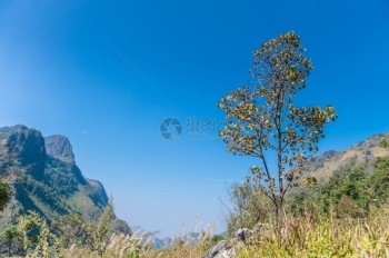 野营山毛榉DoiLuangChiangDao山风景清迈泰国銮图片