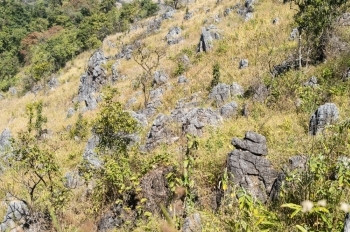 自由放松棕色的DoiLuangChiangDao山风景清迈泰国图片