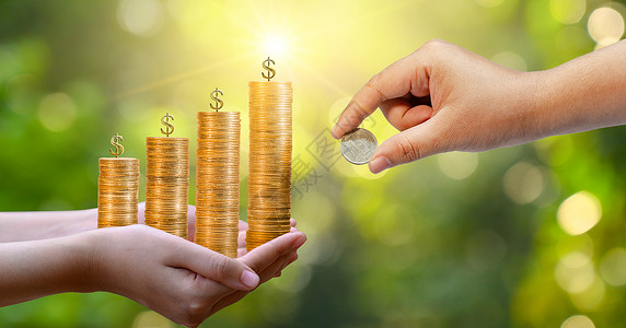 治理绿色白的上树硬币以显示商业增长的理念高树硬币以展示商业增长的概念设计图片
