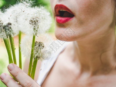 户外荒野美丽的青绿草背景上明亮早期花朵在绿草背景上闪亮的青绿草背景上图片