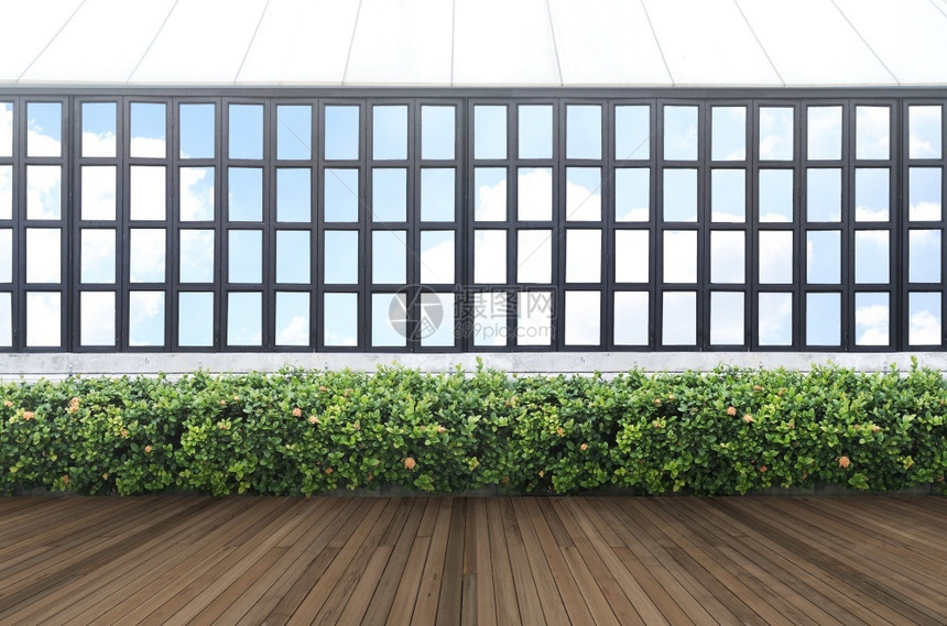 建造热带绿叶墙和有剪切路径的窗口框展示绿色图片
