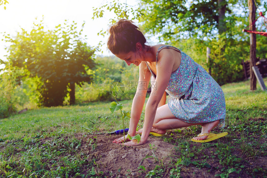 幼苗小心年轻女手在花园后院或自然田种植一棵树的侧视角保持图片