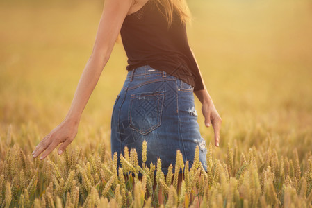 在小麦田中的女性图片