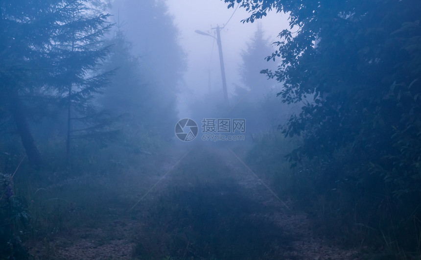 秋季的迷雾森林图片