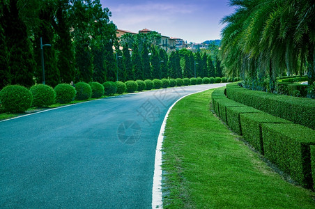 生长美丽的公园路旁草丛和坪景观设计植物图片