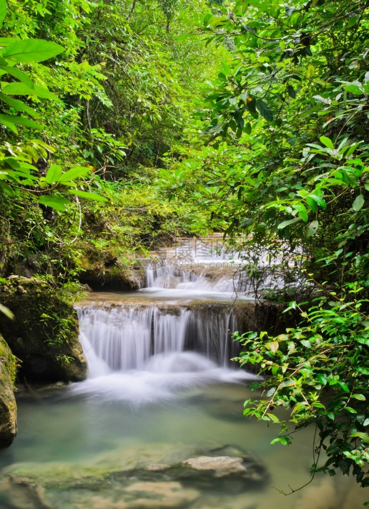 溅泰国的深森林瀑布池塘图片