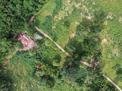 户外多于无人机空中照片来自无人驾驶飞机行的空中照片小房子在森林中图片