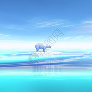 海蓝色的北极熊白天站在冰山上3D变成北极熊3D方设计图片