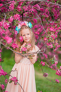 人们分支快乐的美丽小女孩在盛开的树园花美丽的春日可爱小女孩在盛开的苹果园中背景图片