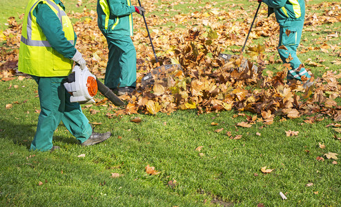 秋天工人在公园里清理落叶图片