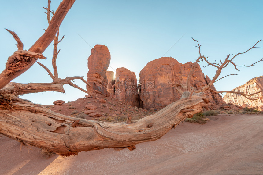 古迹谷的红岩在明亮夏日与树干一起岩石旅行图片