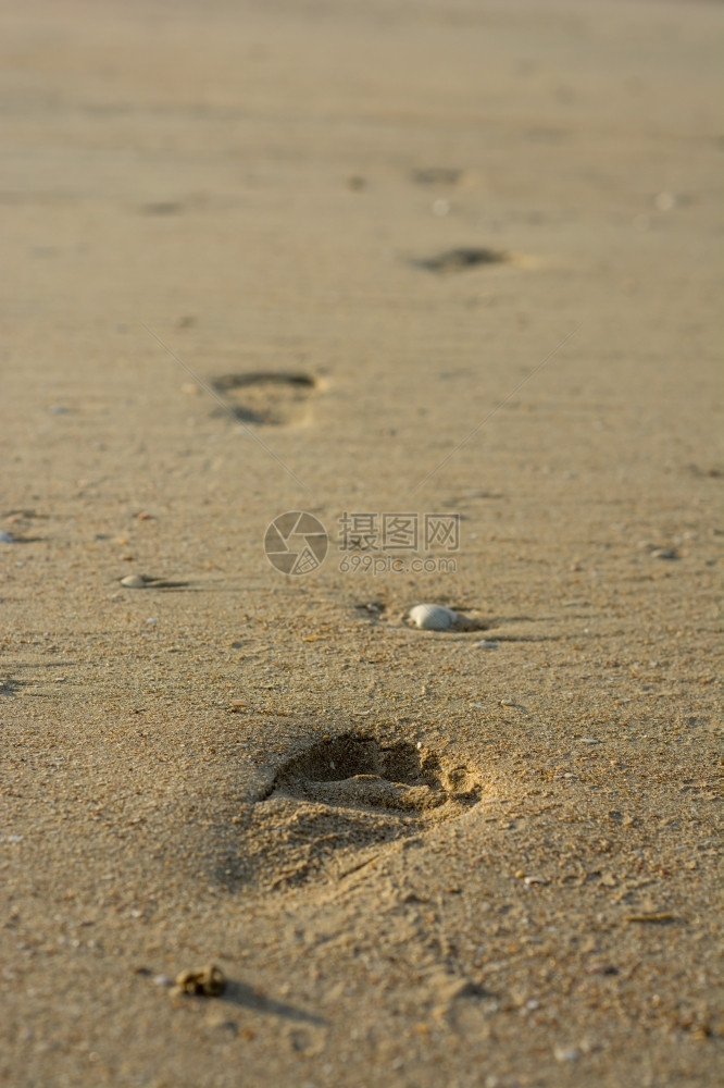 海滩上的脚印图片