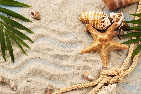 夏天星复制贝壳海沙分辨率和高质量美丽照片贝壳海星沙高质量和分辨率美丽照片概念背景图片