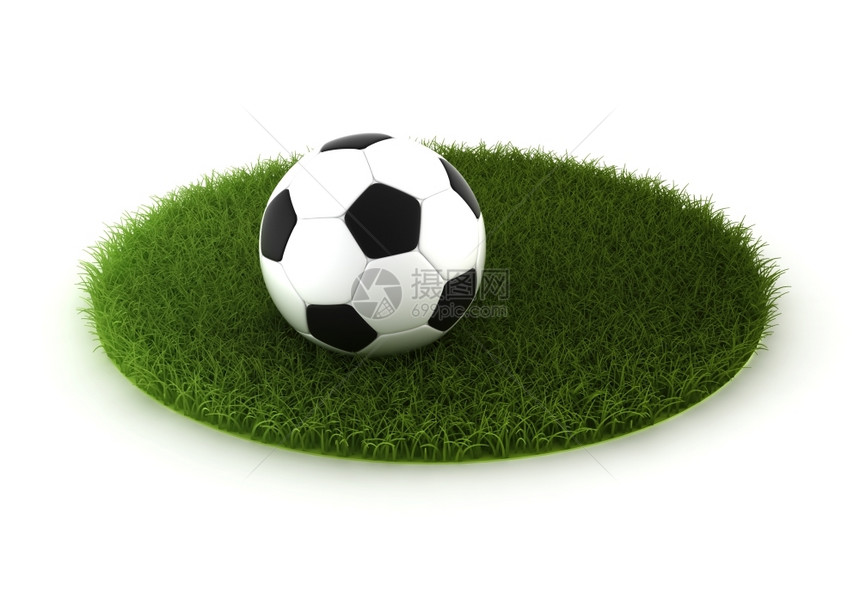 草地土玩带足球的草3d白制成图片