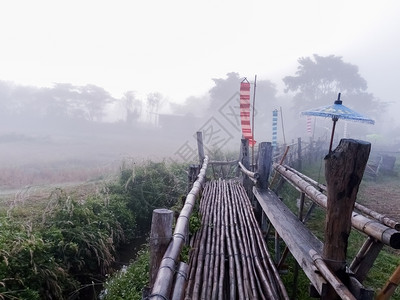 公园桥是竹子做的亚洲自然图片