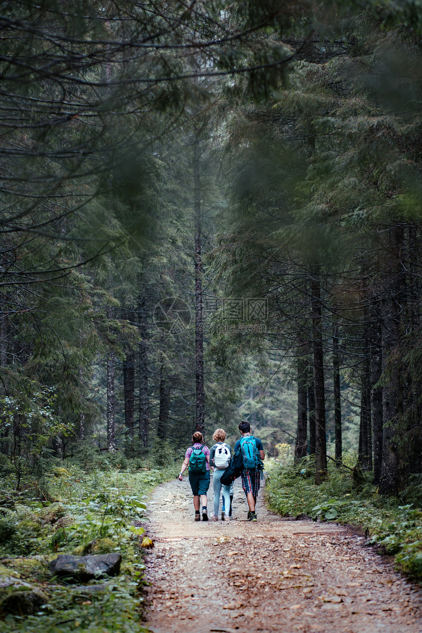 孩子们女士家庭在森林中漫步里带着背包游荡时渡过假期夏令图片