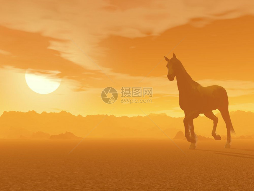 美丽的马匹在沙漠中漫步由浓雾的日落光线可爱男图片
