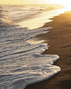 天空自由沿海滩沙和平洋1图片