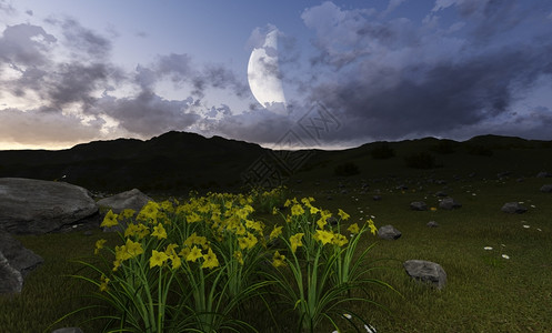 西海岸生态观光园自然云以3D软件制成的月夜院子设计图片